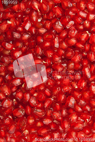 Image of Background of red  seeds