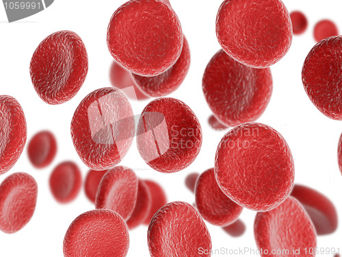 Image of Isolated red bloodcell flow