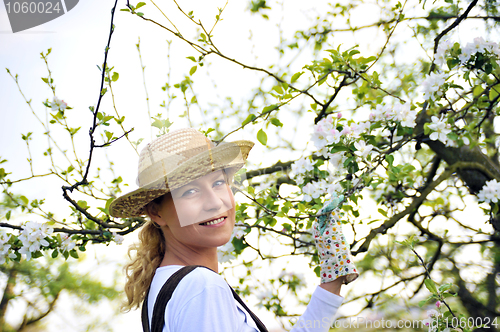 Image of Young woman gardening - in apple tree orchard