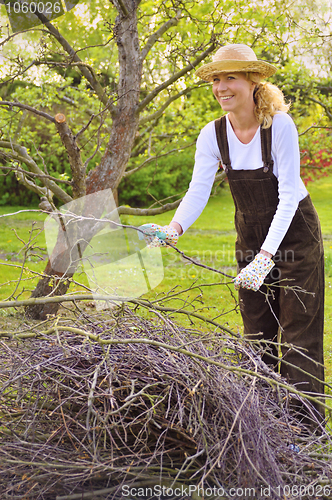Image of Young woman cleaning tree limbs