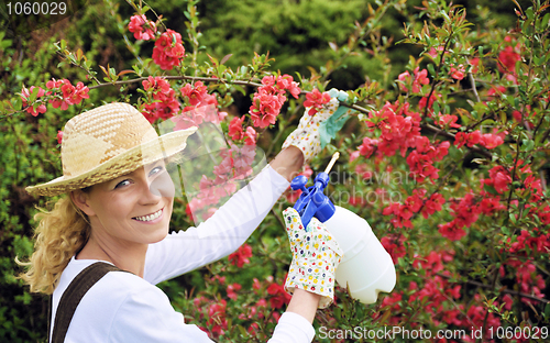 Image of Young woman spraying tree