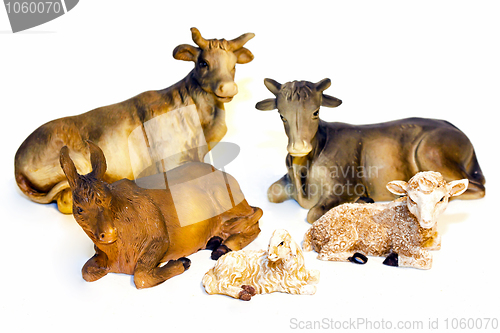 Image of Lambs and cows