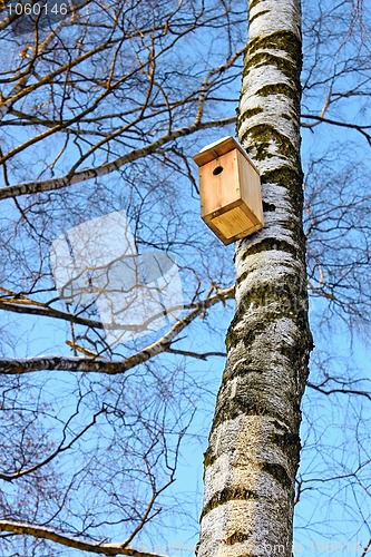 Image of Bird house hanging on a birch. 