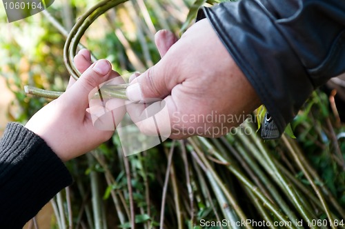 Image of Man teaching child making a wicker basket