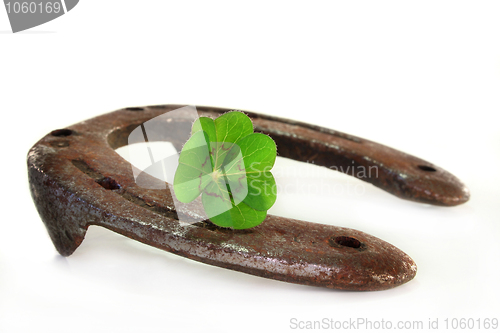 Image of Horseshoe with lucky clover