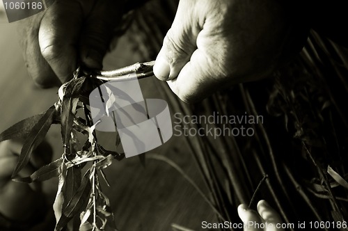 Image of Man teaching child making a wicker basket