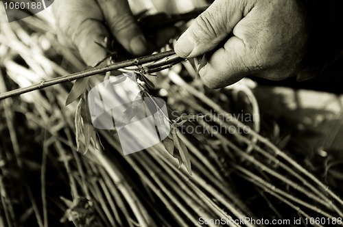 Image of Man teaching child making a wicker basket