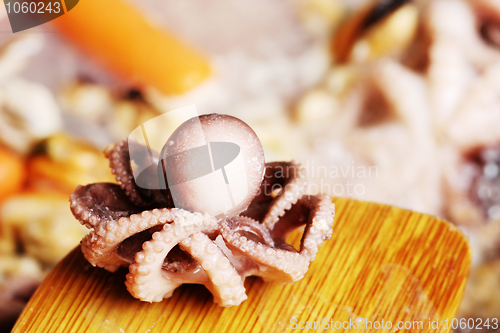 Image of Seafood