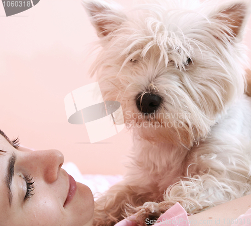 Image of Dog sleeping on bed 