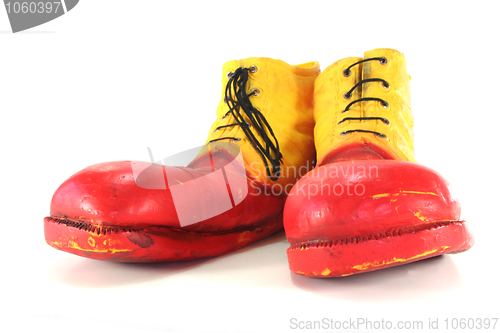 Image of Clown Shoes