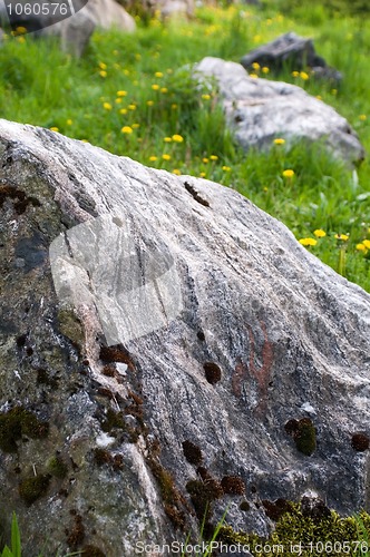 Image of rock garden