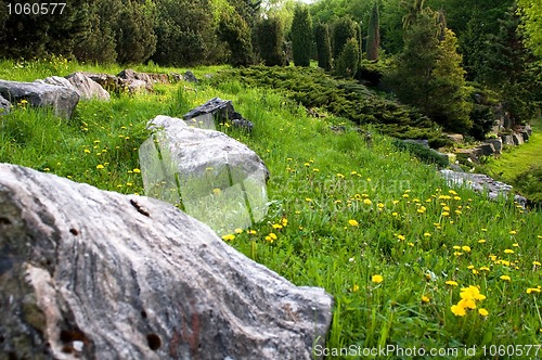 Image of rock garden