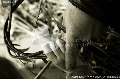 Image of Man teaching child making a wicker basket