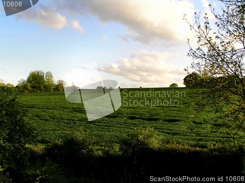 Image of field and clouds