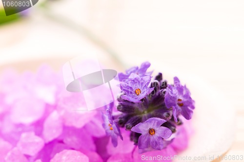 Image of lavender flower and bath salt. spa and wellness