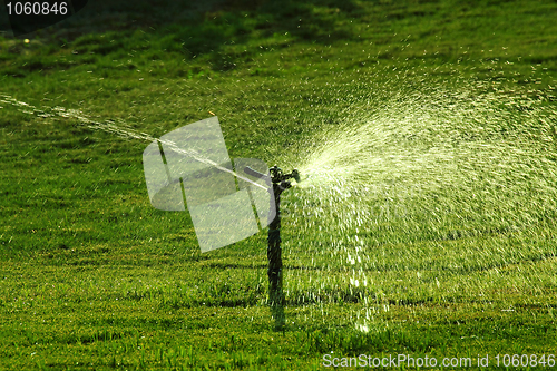 Image of sprinkler watering green lawn