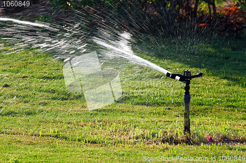 Image of sprinkler watering green lawn