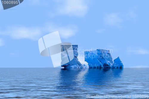 Image of arctica