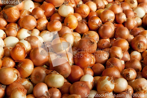 Image of Background of onions