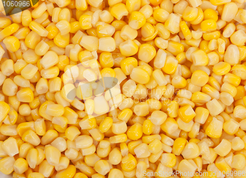 Image of Background of corn