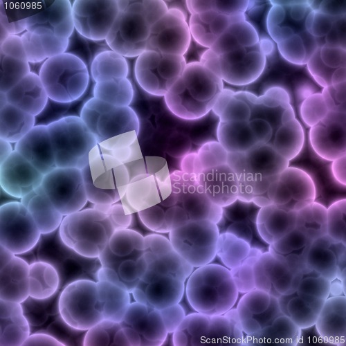 Image of bacteria