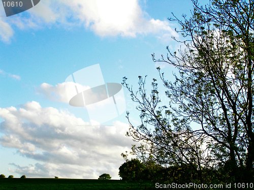 Image of sky and trees