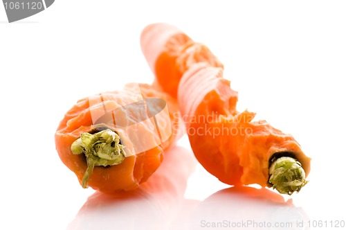 Image of Bite out of a fresh carrot