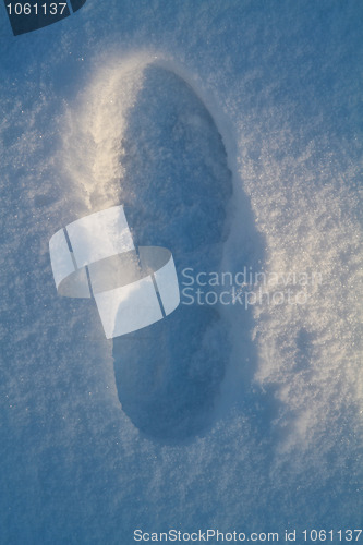 Image of Footprint in snow