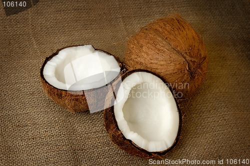 Image of Coconut still-life