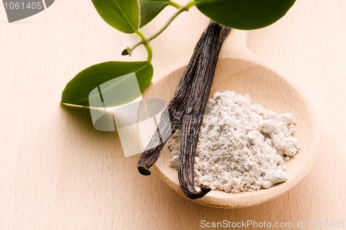 Image of vanilla beans with aromatic sugar