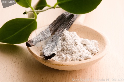 Image of vanilla beans with aromatic sugar