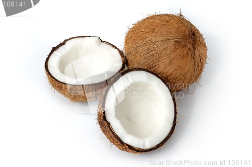 Image of Coconut still-life isolated