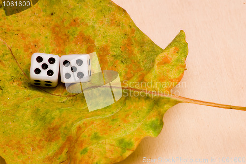 Image of two dice