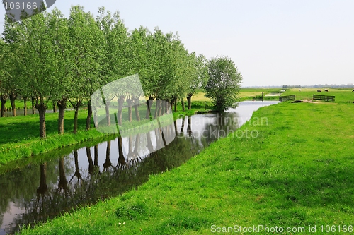 Image of Dutch landscape