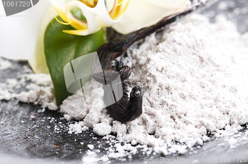 Image of vanilla beans with aromatic sugar and flower