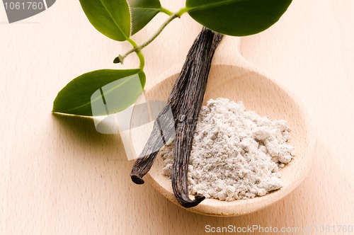 Image of vanilla beans with aromatic sugar