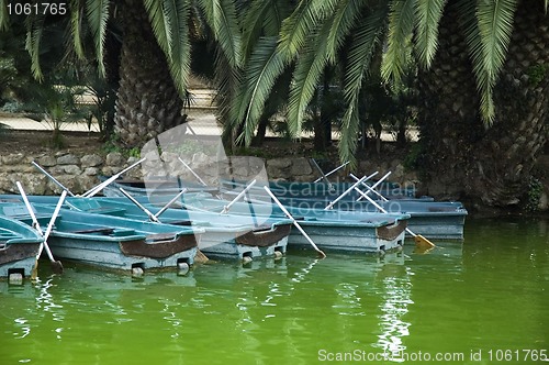 Image of Boats