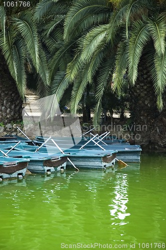 Image of Boats