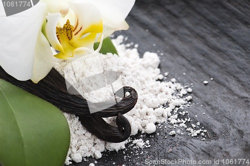 Image of vanilla beans with aromatic sugar and flower