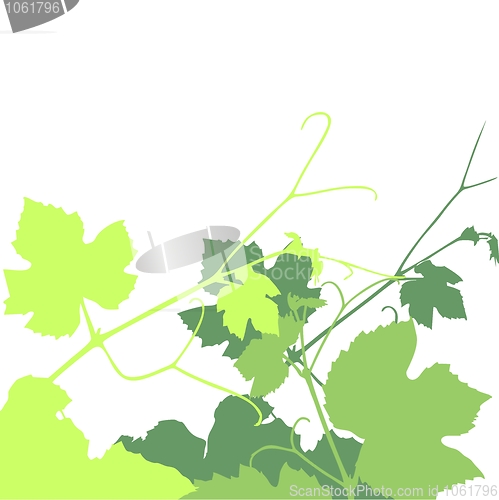 Image of Vine leaves swirls