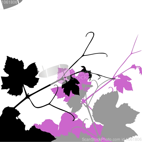 Image of Vine leaves swirls