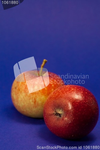 Image of Apples