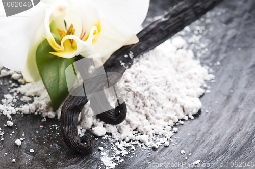 Image of vanilla beans with aromatic sugar and flower