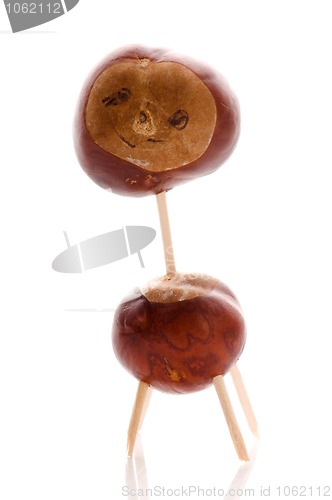 Image of chestnut toy