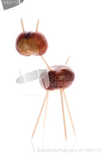 Image of chestnut toy