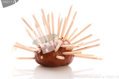 Image of chestnut toy