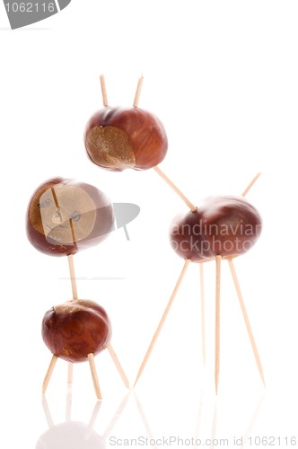Image of chestnut toy