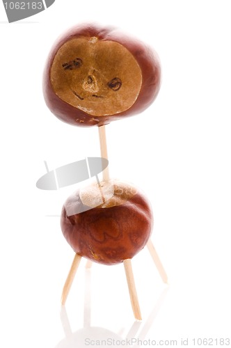 Image of chestnut toy