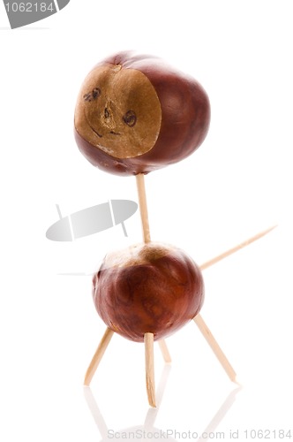 Image of chestnut toy