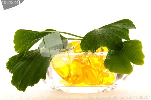 Image of ginko biloba essential oil with fresh leaves - beauty treatment 